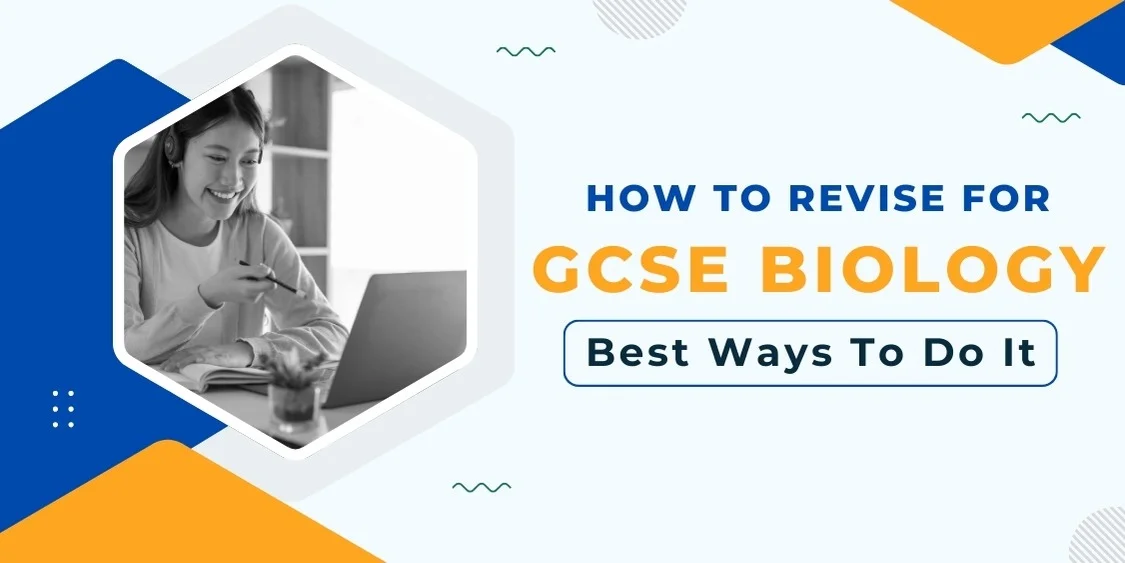 How to Revise for GCSE Biology: Best Ways to Do It